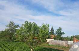 Ocazie! 2 case individuale de vanzare, 117 mp utili, 1400 mp teren