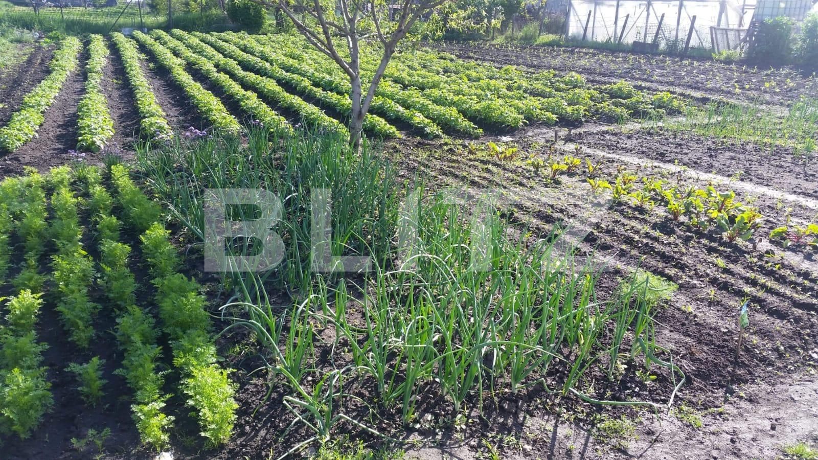 Casa de vânzare 5 camere Exterior Est - 51725CV | BLITZ Cluj-Napoca | Poza8