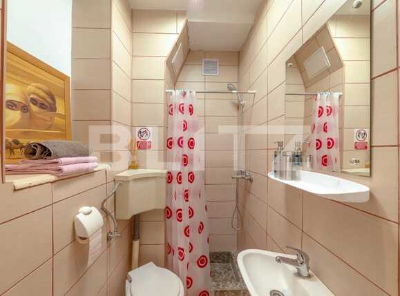 Garsonieră de închiriat Central - 51734AI | BLITZ Cluj-Napoca | Poza8