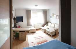 Apartament cochet cu o camera, finisat/mobilat lux, 38 mp, zona Piezisa