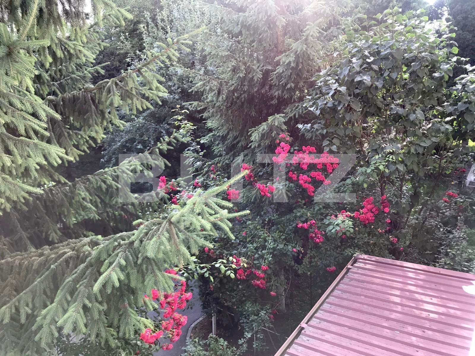 Apartament de închiriat 2 camere Zorilor - 51755AI | BLITZ Cluj-Napoca | Poza7