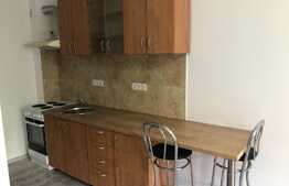 Garsoniera, 25 mp, mobilată modern, Gruia