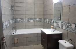 Apartament modern, 2 camere, gradina 58mp, parter inalt, parcare! Zona strazii Sesul de Sus!