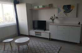 Apartament cu 1 camera, totul nou, 44 mp, zona Calea turzii