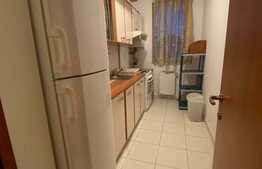 Apartament cu 2 camere, 60 mp, modern, pet friendly, zona strazii Eremia Grigorescu