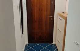 INVESTITIE!! Garsoniera mobilata utilata lux, cu AC, 22 mp, zona Bila Manastur