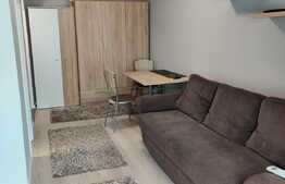 INVESTITIE!! Garsoniera mobilata utilata lux, cu AC, 22 mp, zona Bila Manastur