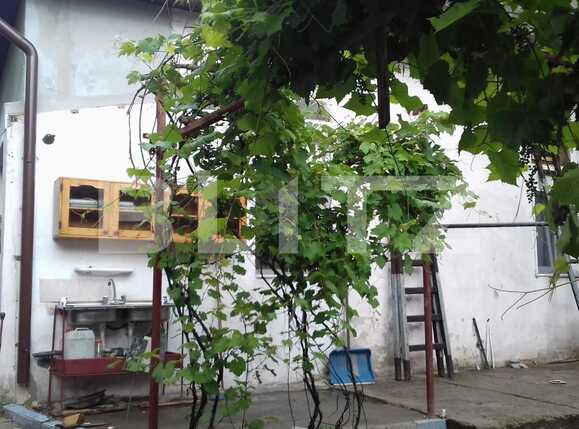 Casa de vânzare 2 camere Dambul Rotund - 51801CV | BLITZ Cluj-Napoca | Poza7