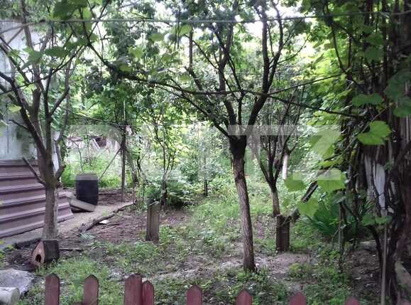 Casa de vânzare 2 camere Dambul Rotund - 51801CV | BLITZ Cluj-Napoca | Poza9