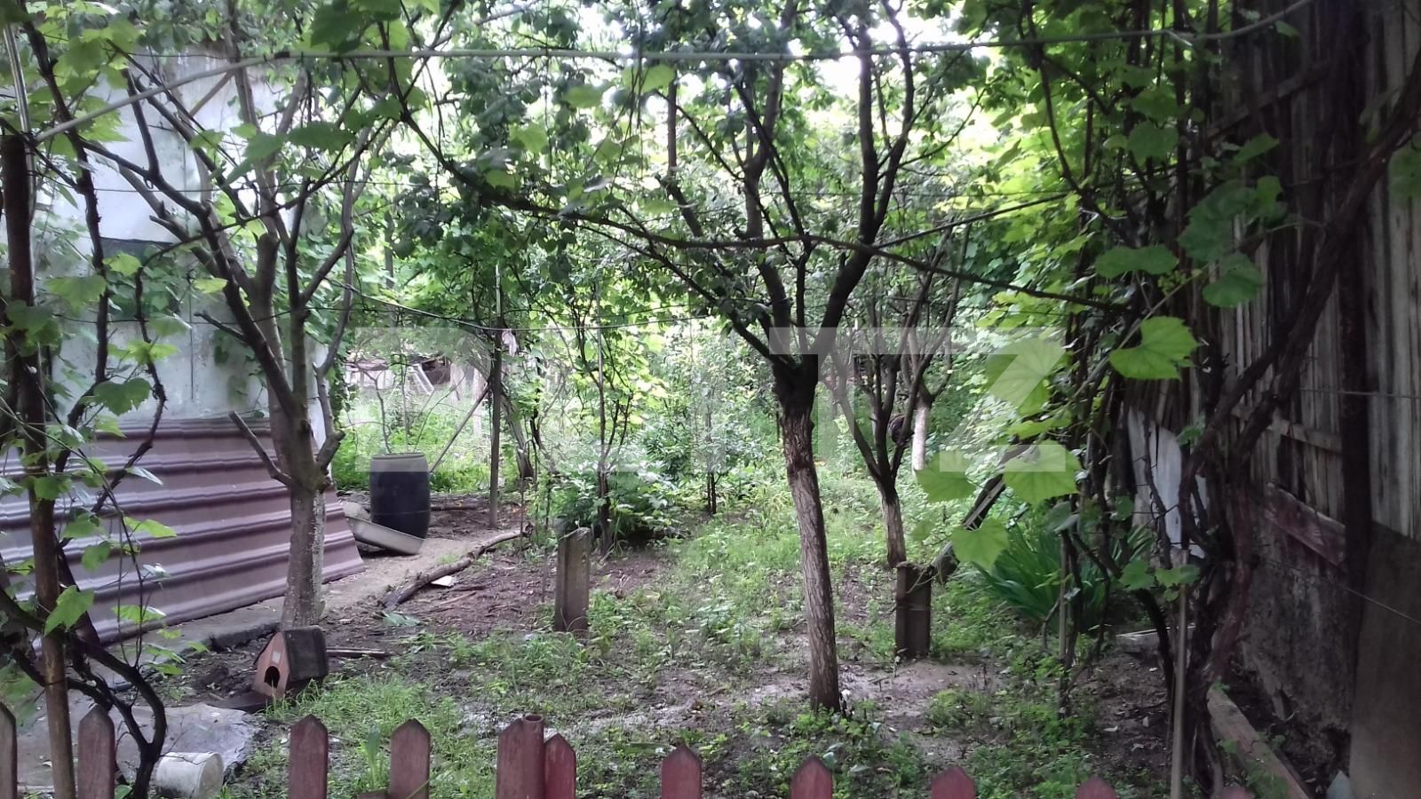 Casa de vânzare 2 camere Dambul Rotund - 51801CV | BLITZ Cluj-Napoca | Poza9