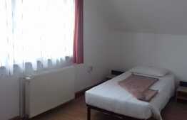 Casa individuala, 470 mp utili, hala 90mp utili, 568 mp teren !