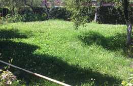 Exclusiv prin Blitz! Casa din livada, 120 mp utili, 800 mp teren, zona accesibila!