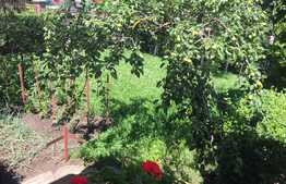 Exclusiv prin Blitz! Casa din livada, 120 mp utili, 800 mp teren, zona accesibila!