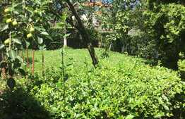 Exclusiv prin Blitz! Casa din livada, 120 mp utili, 800 mp teren, zona accesibila!