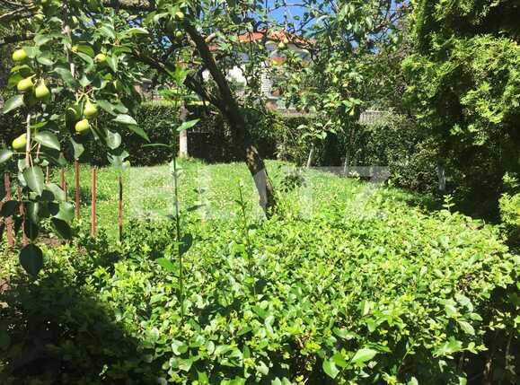 Casa de vânzare 4 camere Dambul Rotund - 51804CV | BLITZ Cluj-Napoca | Poza12