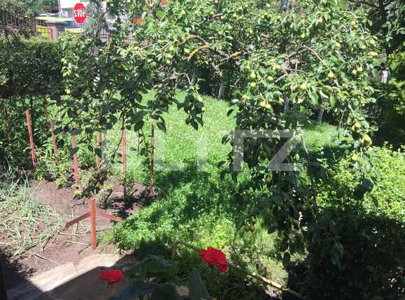 Casa de vânzare 4 camere Dambul Rotund - 51804CV | BLITZ Cluj-Napoca | Poza13