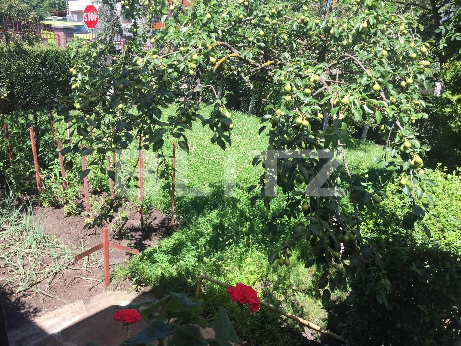 Casa de vânzare 4 camere Dambul Rotund - 51804CV | BLITZ Cluj-Napoca | Poza2