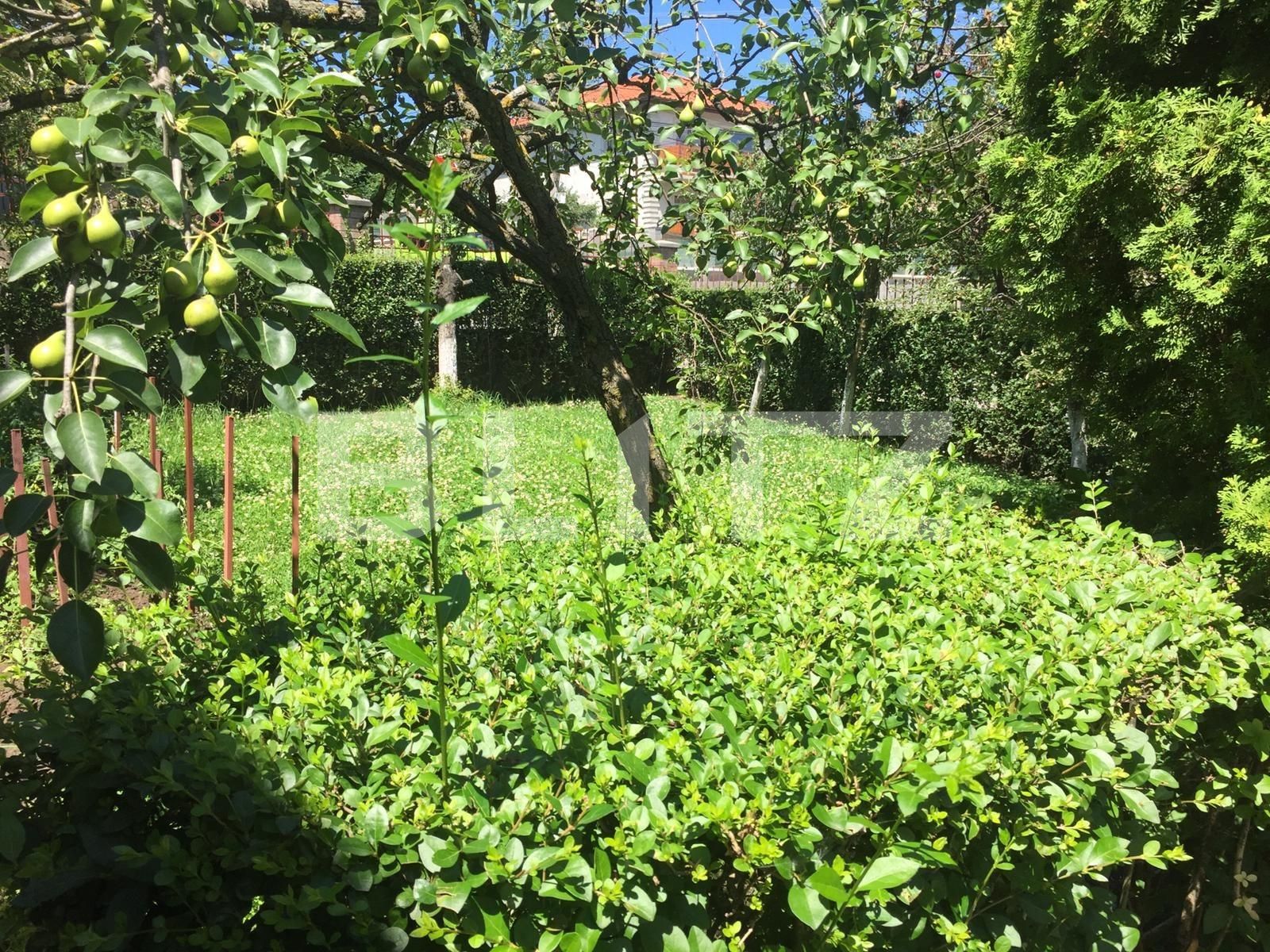 Casa de vânzare 4 camere Dambul Rotund - 51804CV | BLITZ Cluj-Napoca | Poza12