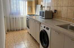 Apartament 1 camera, 40 mp, pet friendly, zona Kaufland Manastur