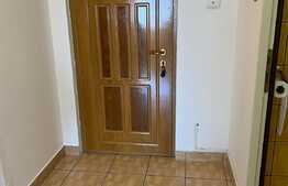 Apartament 1 camera, 40 mp, pet friendly, zona Kaufland Manastur