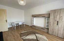 Apartament 1 camera, 40 mp, pet friendly, zona Kaufland Manastur