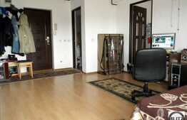 Vanzare apartament cu 1 camera la etaj intermediar