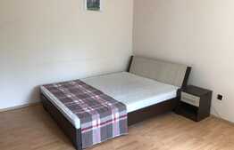 Apartament 2 camere, decomandat, 50 mp, central, P-ta Mihai Viteazu