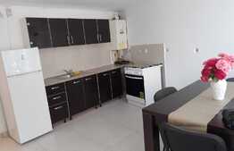 Apartament 2 camere, demisol, mobilat modern in imobil tip vila