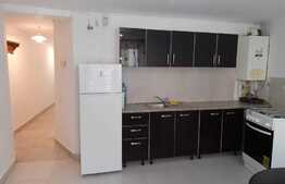 Apartament 2 camere, demisol, mobilat modern in imobil tip vila