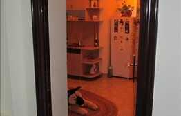 Vanzare 1 camera, 44 mp utili plus balcon, zona Stejarului