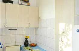 Apartament 1 camera, 42 mp, ulltracentral!