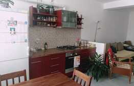 Apartament spațios, 60 mp, parcare, dressing, etaj 1, zona Cetatii!