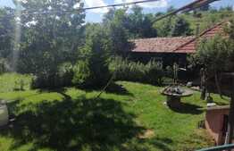 Ocazie pentru investitie! Casa de vanzare, 110 mp utili, 2385 mp teren