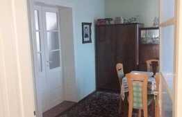 Ocazie pentru investitie! Casa de vanzare, 110 mp utili, 2385 mp teren