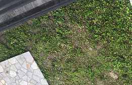 Casa moderna ideal birou cochet! 