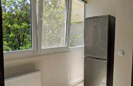 Apartament 2 camere, 58 mp, pet friendly, in zona Golden Tulip