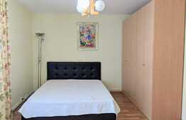 Apartament 2 camere, 58 mp, pet friendly, in zona Golden Tulip