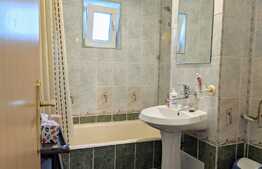 Apartament 2 camere, 58 mp, pet friendly, in zona Golden Tulip