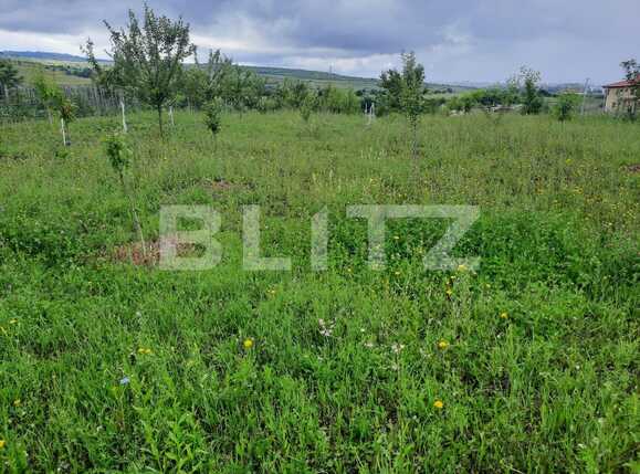 Teren de vânzare Sopor - 52464TV | BLITZ Cluj-Napoca | Poza1