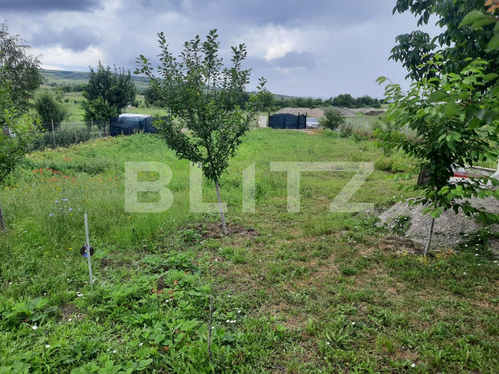 Teren de vânzare Sopor - 52464TV | BLITZ Cluj-Napoca | Poza2