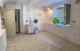 Spatiu comercial, 40 mp, zona Casa de Cultura