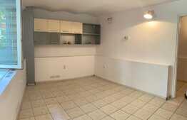 Spatiu comercial, 40 mp, zona Casa de Cultura