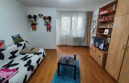 Garsoniera 28 mp, locatie extraordinara, zona Flora 