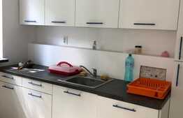 Birou modern in Piata Muzeului