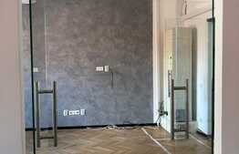 Birou modern in Piata Muzeului