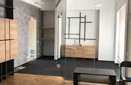 Birou modern in Piata Muzeului