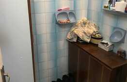 Apartament 3 camere, 65 mp, decomandat, 2 boxe, garaj, zona strazii Dambovitei