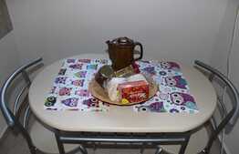 Apartament cu 2 camere, decomandate, terasa, garaj, zona strazii Horea 