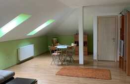 Apartament 3 camere, 119 mp, parcare, Someseni