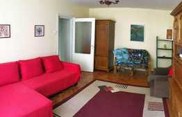 Apartament 2 camere, semidecomandat, 50 mp, zona strazii Bizusa